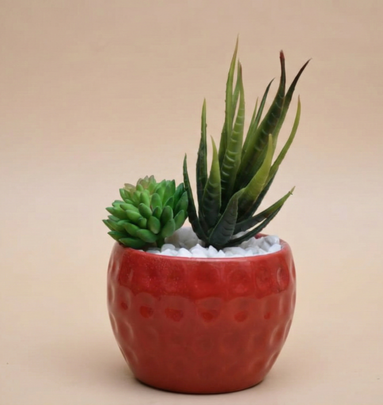 Gemini_Generated_Image_y1mtijy1mtijy1mt